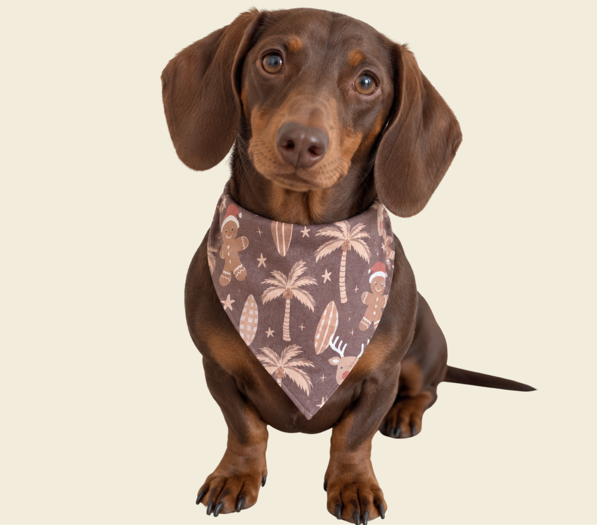 FURY FRIEND CHRISTMAS BANDANA- PRE ORDER
